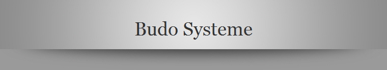 Budo Systeme